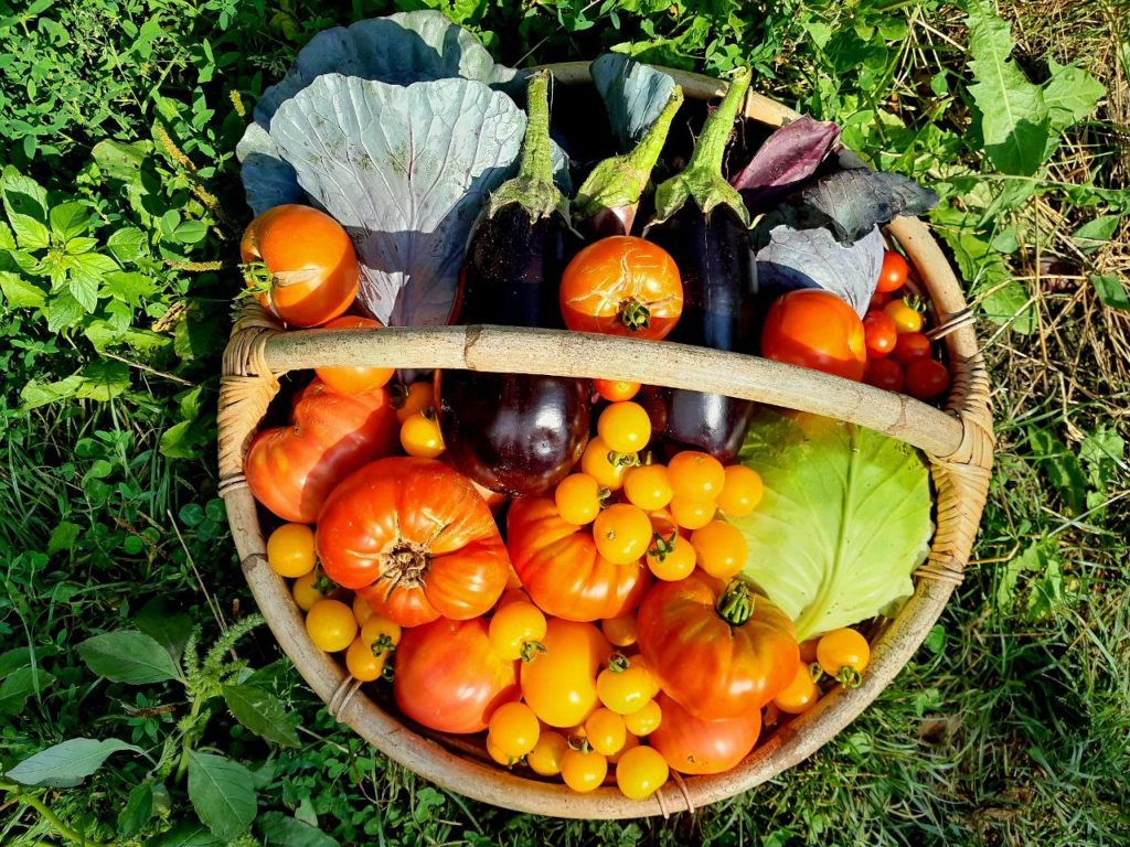 zelfvoorzienend, autonoom,vrij