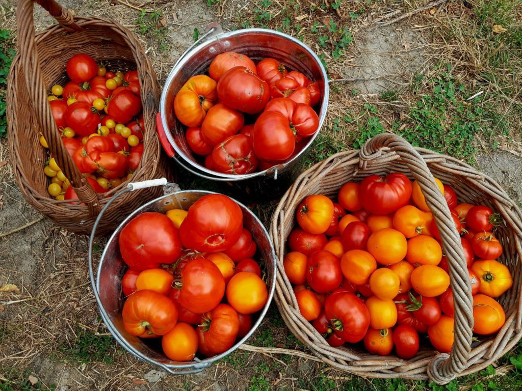 zelfvoorzienend, autonoom,vrij