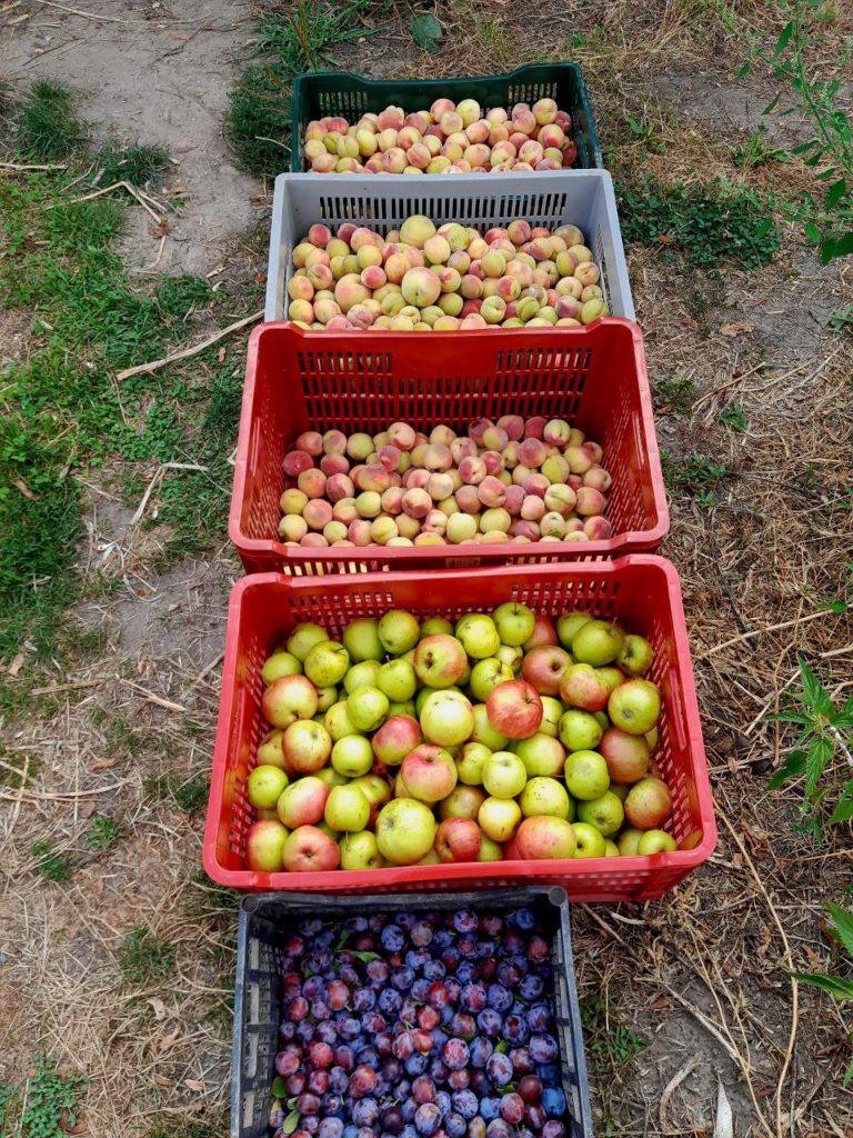 zelfvoorzienend, autonoom,vrij