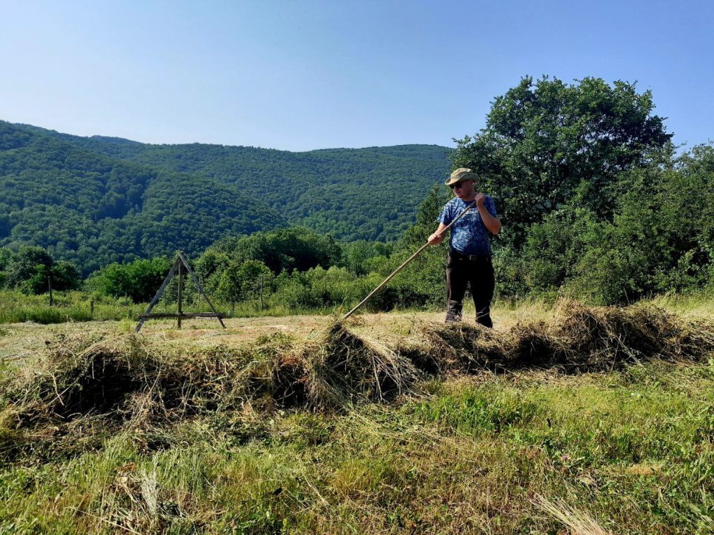 zelfvoorzienend, autonoom,vrij