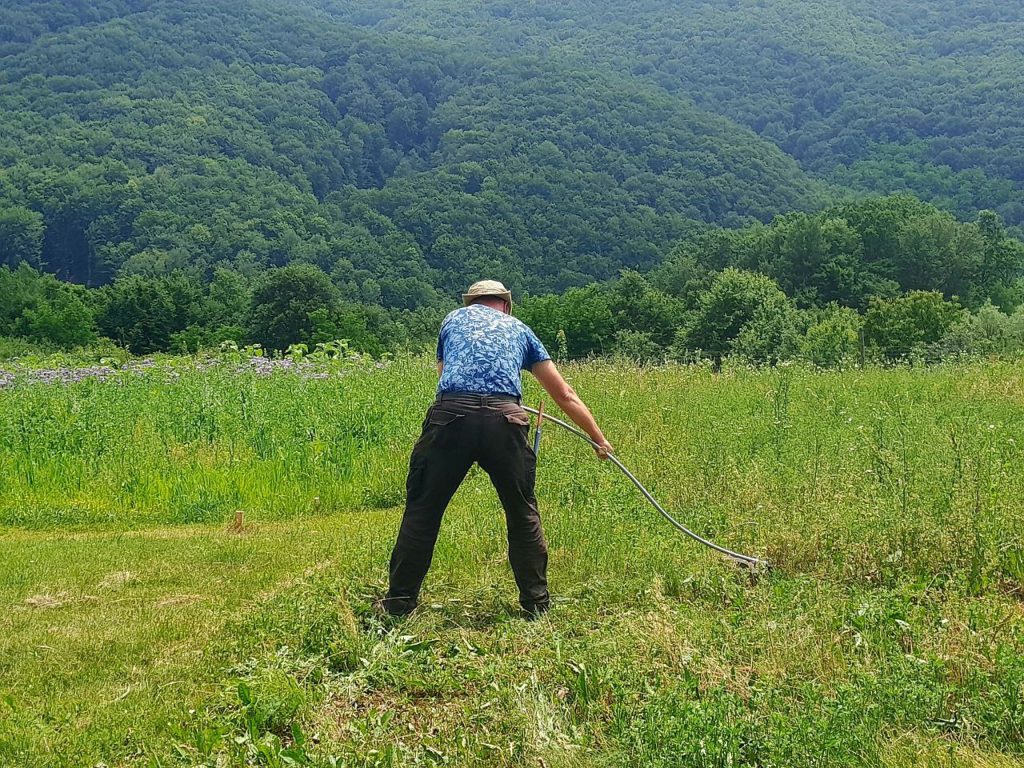 zelfvoorzienend, autonoom,vrij
